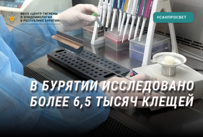 В Бурятии исследовано более 6,5 тысяч клещей